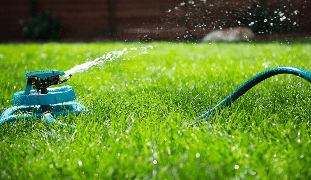 Water Your Lawn Properly