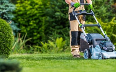 A Guide to Choosing the Right Mower in Australia