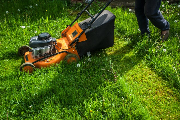 How to Mow a Slope: Tips for Maintaining a Sloped Lawn