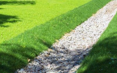 The Ultimate Guide to Improving Lawn Drainage