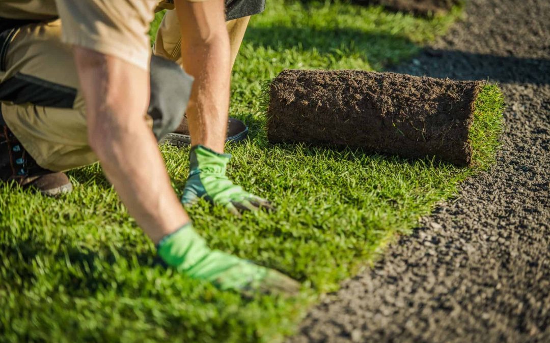 Your #1 Guide to Turf Underlay