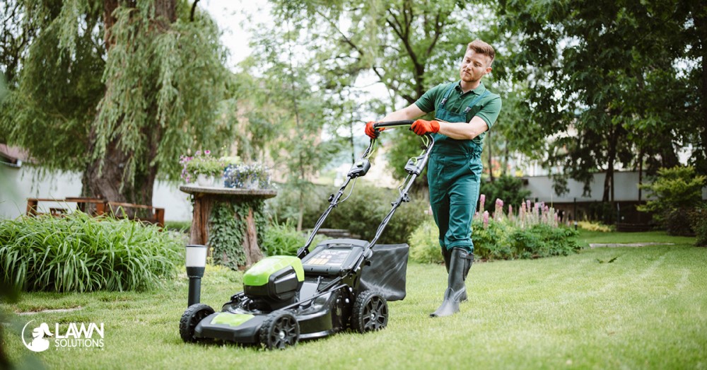 Lawn mower for online buffalo grass