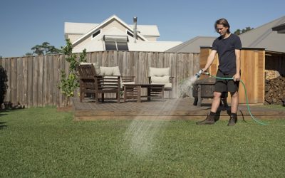 Signs You Have an Overwatered Lawn and How to Fix It