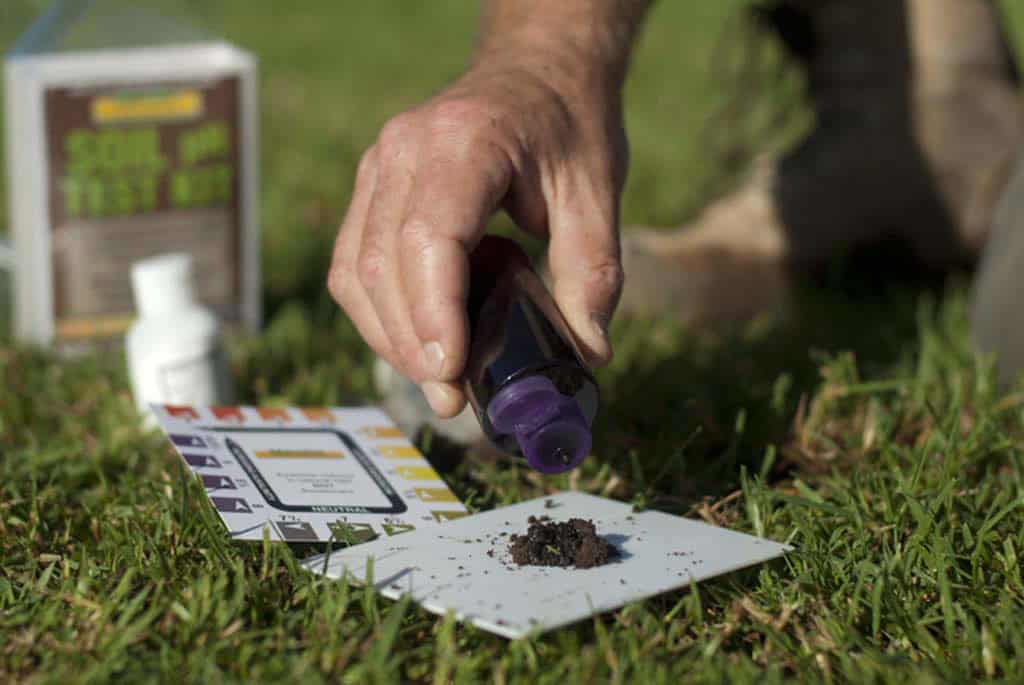 Testing your soil