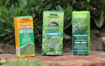 Lawn Care Products for Every Season