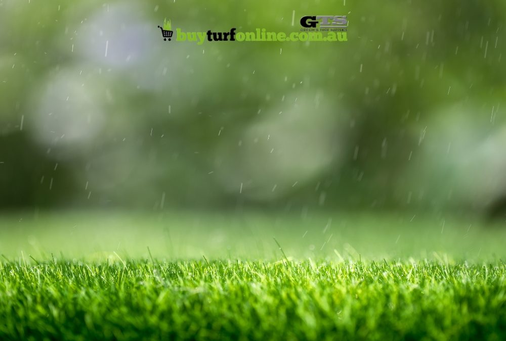 Keeping Your Lawn Green and Healthy During the Summer Heat