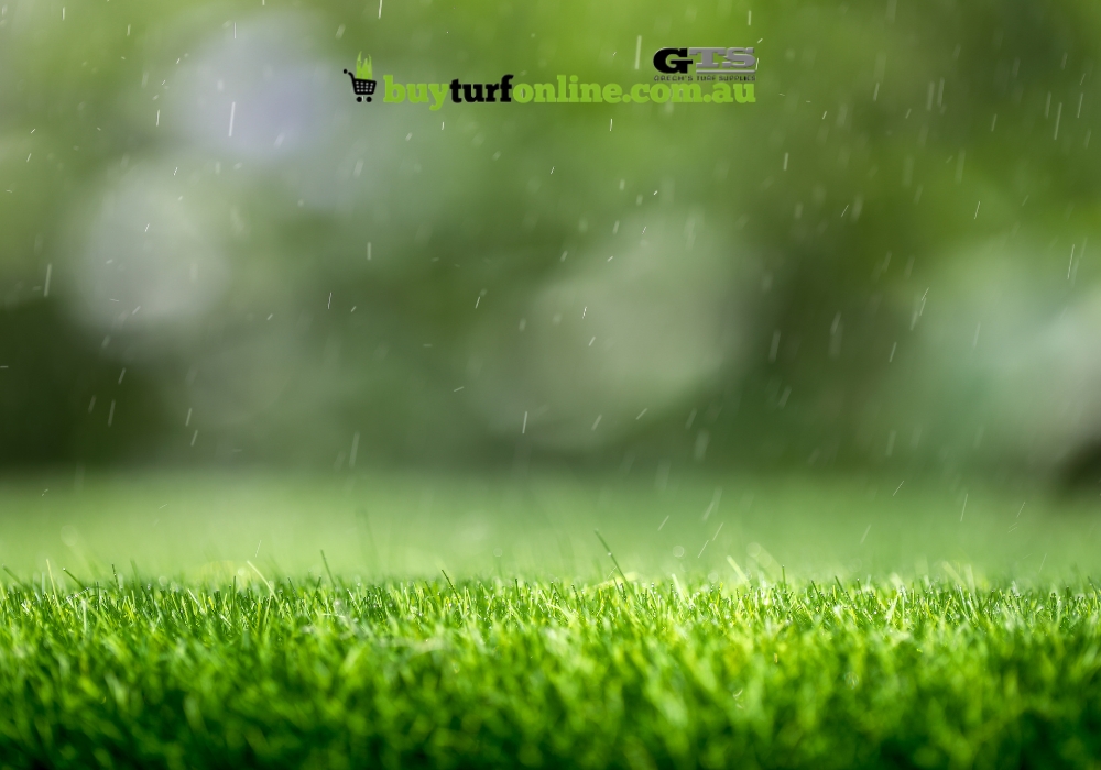 Monitor rainfall
