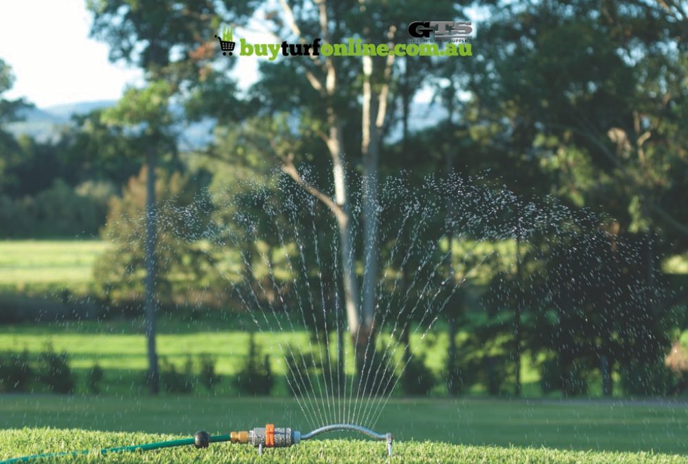 The Ultimate Watering Guide for Summer Lawns