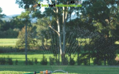 The Ultimate Watering Guide for Summer Lawns