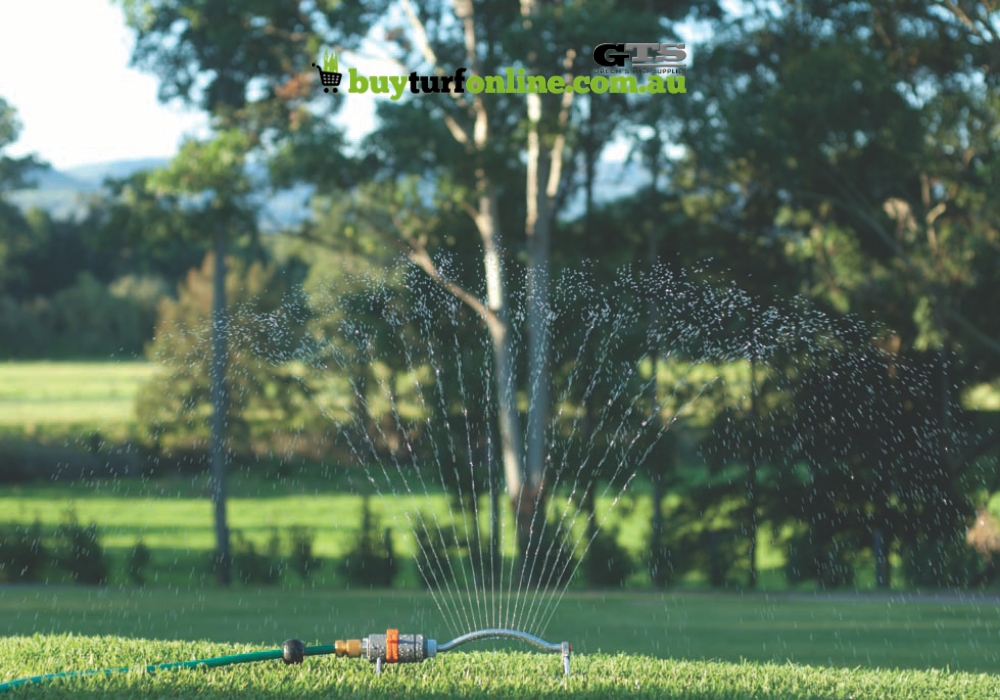 The Best Methods for Watering Your Lawn
