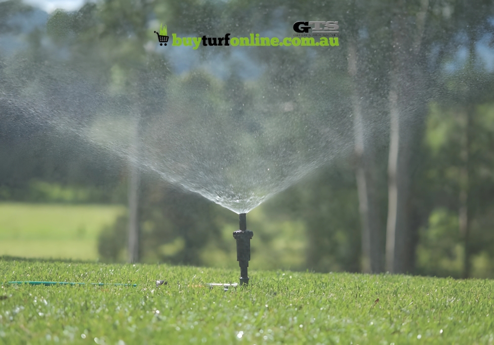 The Ultimate Watering Guide for Summer Lawns