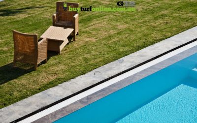 Poolside Turf: Choosing and Maintaining Grass Around Pools