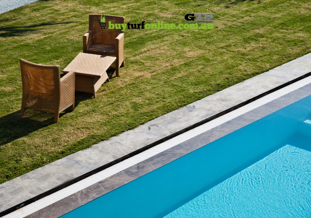 What is the Best Grass for Around a Pool