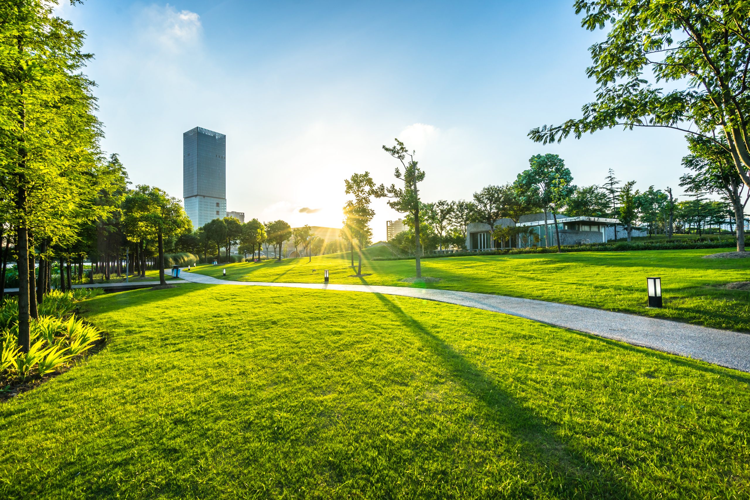 adobestock_217342577 High quality turf for council parks and natural reserves