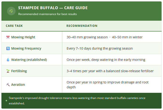 Stampede Buffalo Care Guide