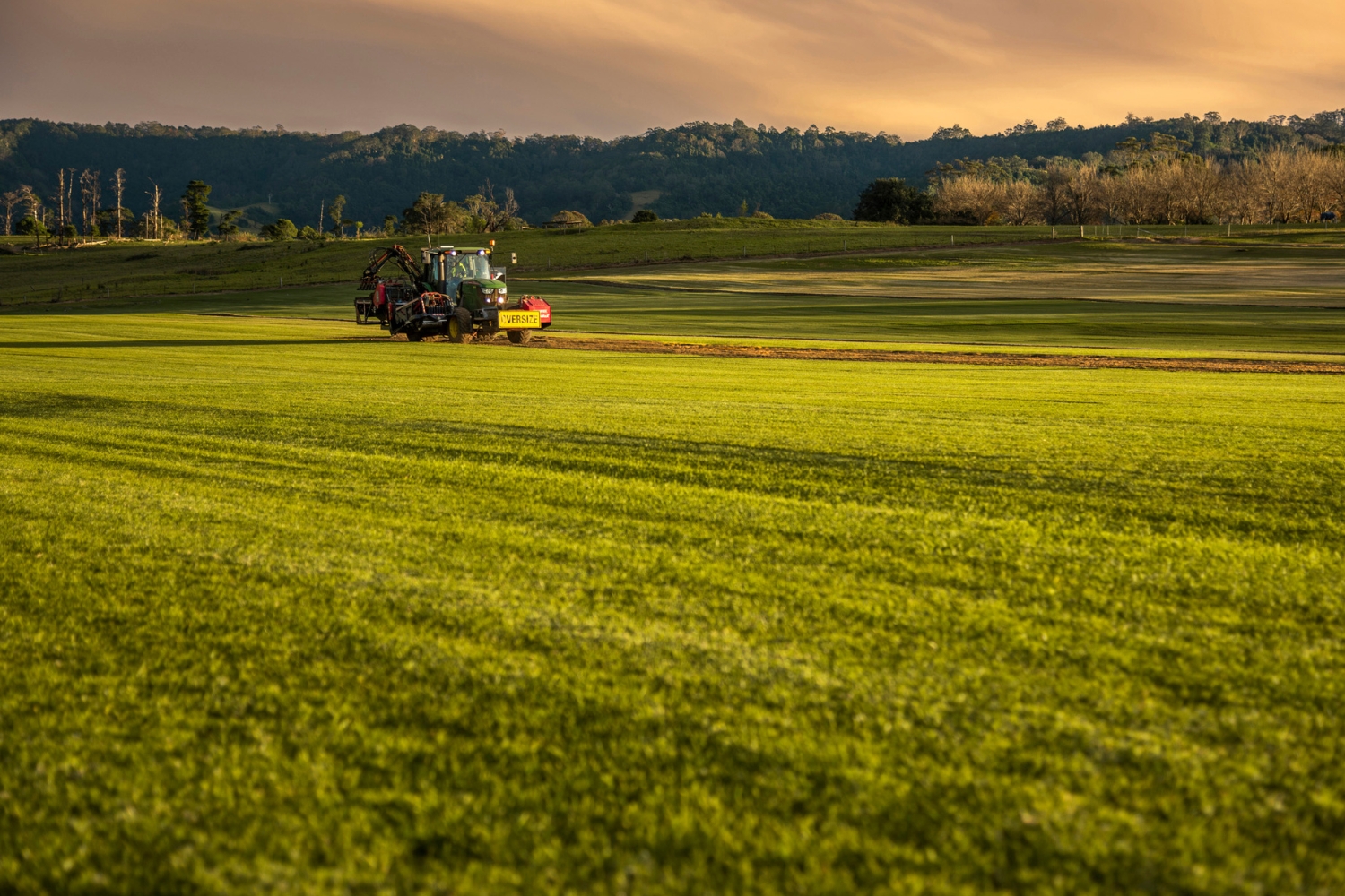 Choosing the Right Supplier for Commercial Lawns Matters Choosing the Right Supplier for Commercial Lawns Matters