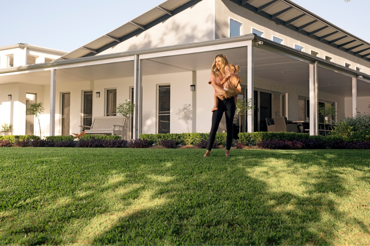 If you have shade from trees, fences, or buildings, Sir Walter Buffalo is the most suitable choice