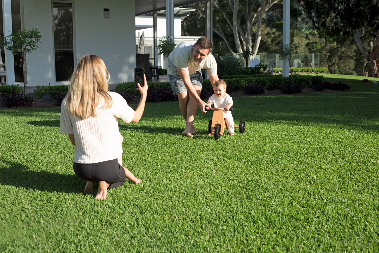 Sir Walter is a kid-friendly and pet-friendly choice thanks to its soft leaf and cooler feel