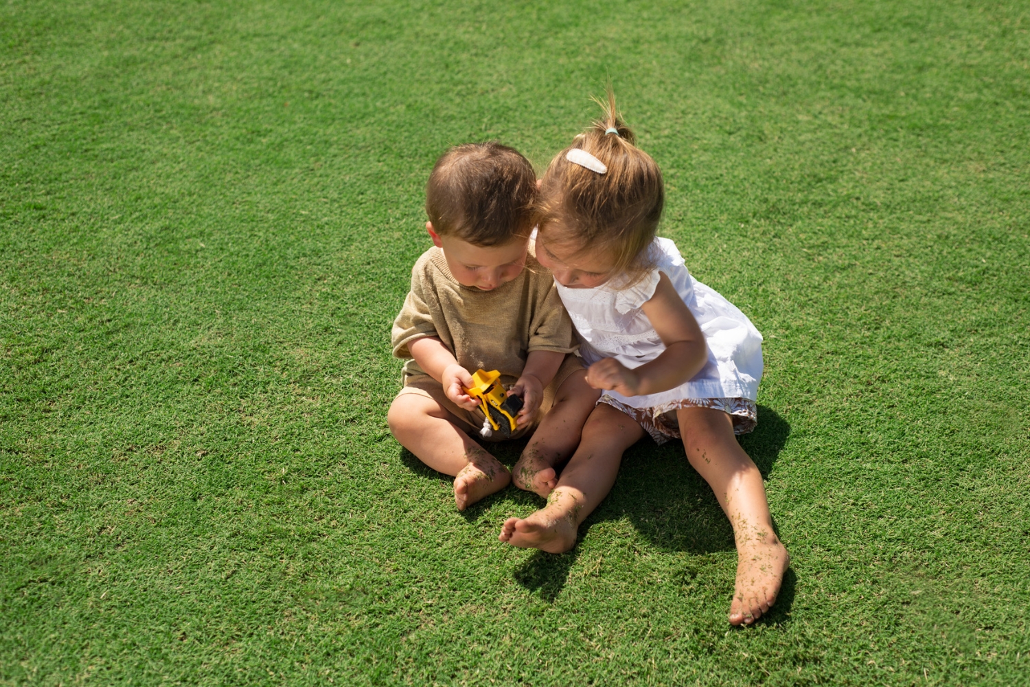 TifTuf is one of the best Australian lawn varieties for full sun, high heat and heavy traffic