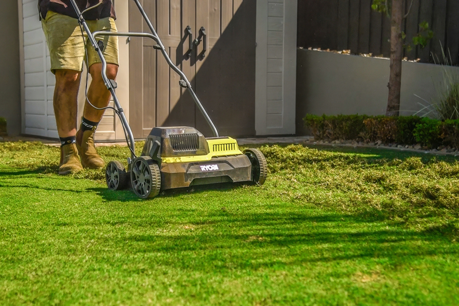 Lawn Maintenance