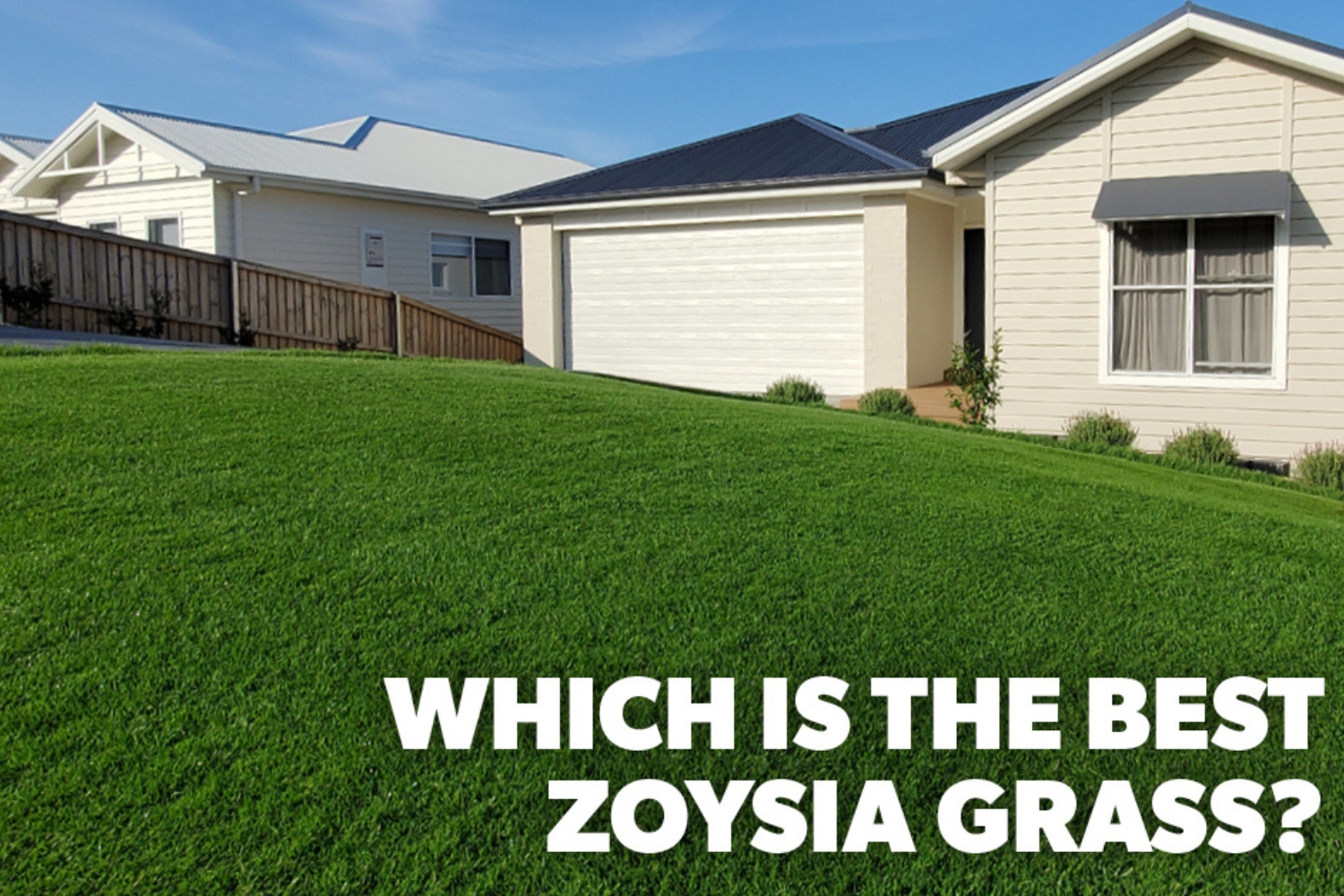 Which is the best Zoysia Grass