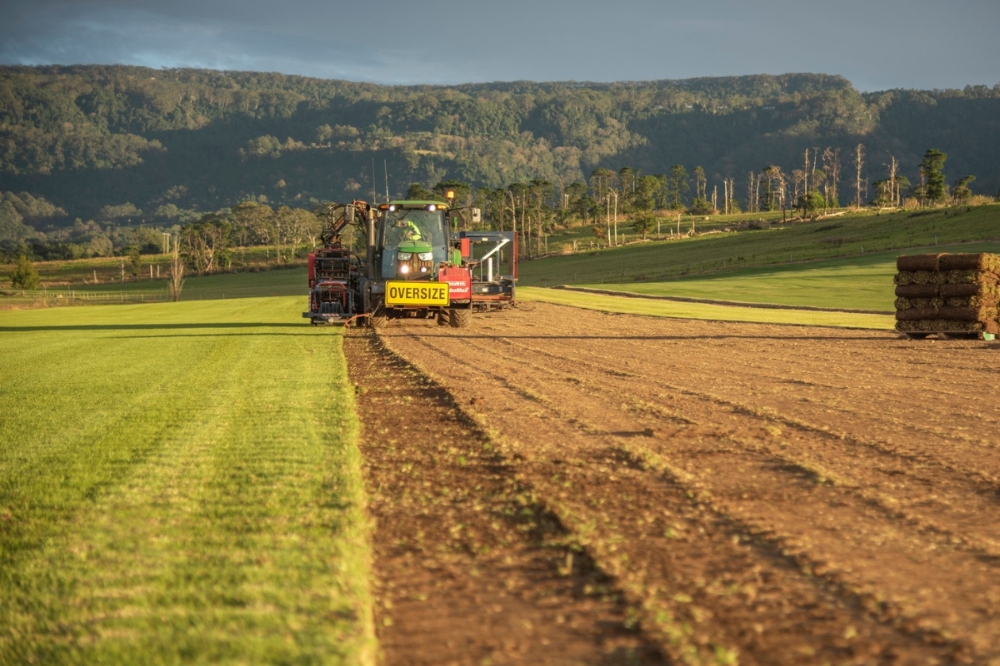 What is the Best Grass for a Lawn? A Complete Guide to Top Choices 13 Buy Turf Online is the No.1 Turf Supplier in NSW