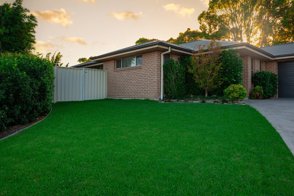 What is the Best Grass for a Lawn? A Complete Guide to Top Choices 11 Eureka Kikuyu is well suited for Australian climates