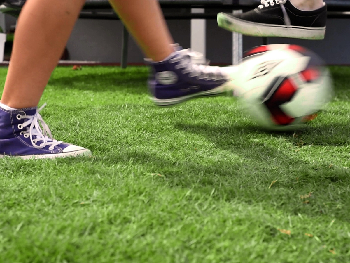 High-Wear Turf Sydney 2 High-Wear Turf Sydney 2