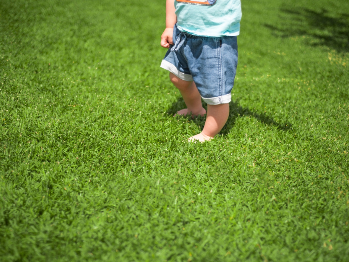 High-Wear Turf Sydney 3 High-Wear Turf Sydney 3