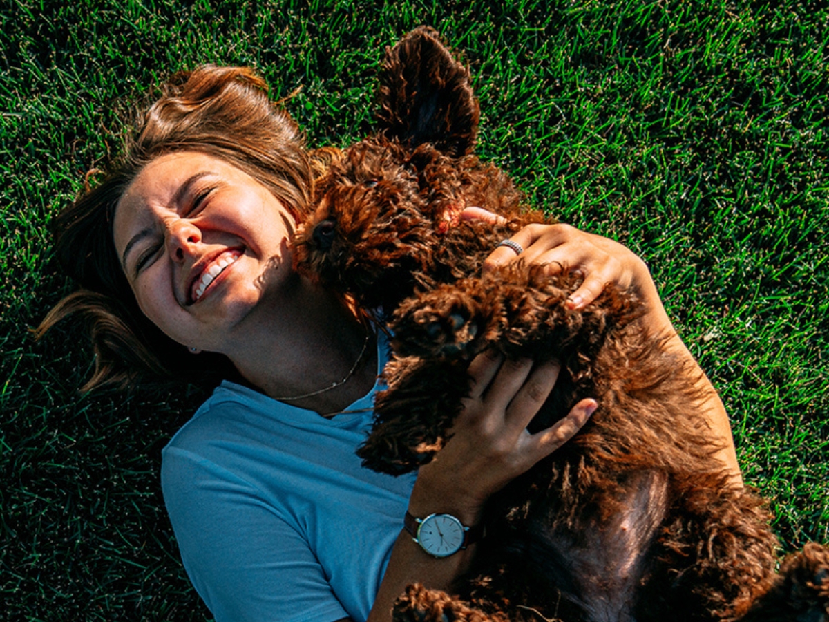 High-Wear Turf Sydney 5 High-Wear Turf Sydney 5