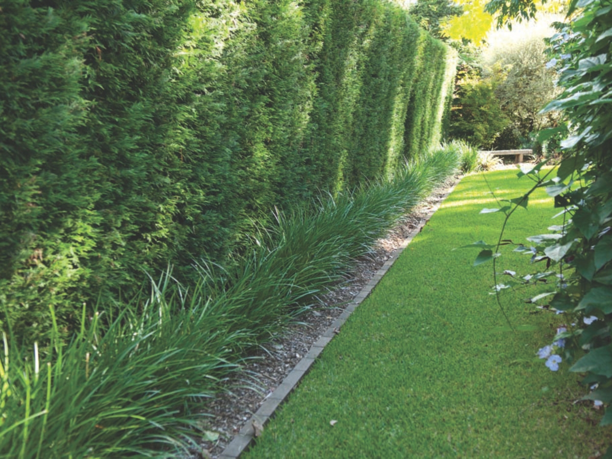 How to Prepare Your Lawn for Winter Shade How to Prepare Your Lawn for Winter Shade