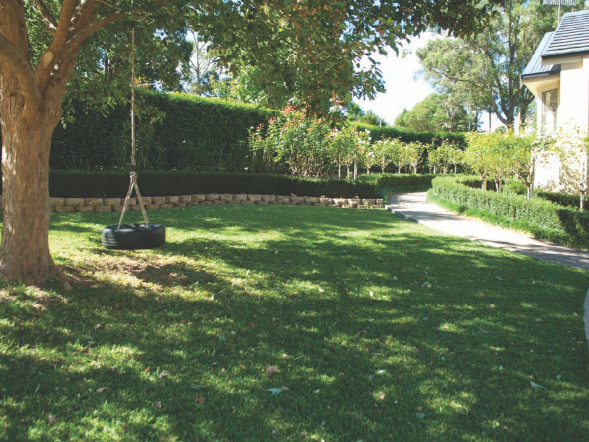 Shaded Lawn Shaded Lawn