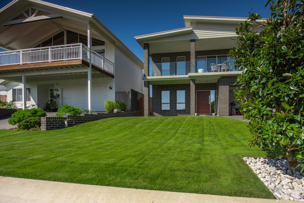 What is the Best Grass for a Lawn? A Complete Guide to Top Choices 8 Sir Grange Zoysia is a premium Zoysia grass