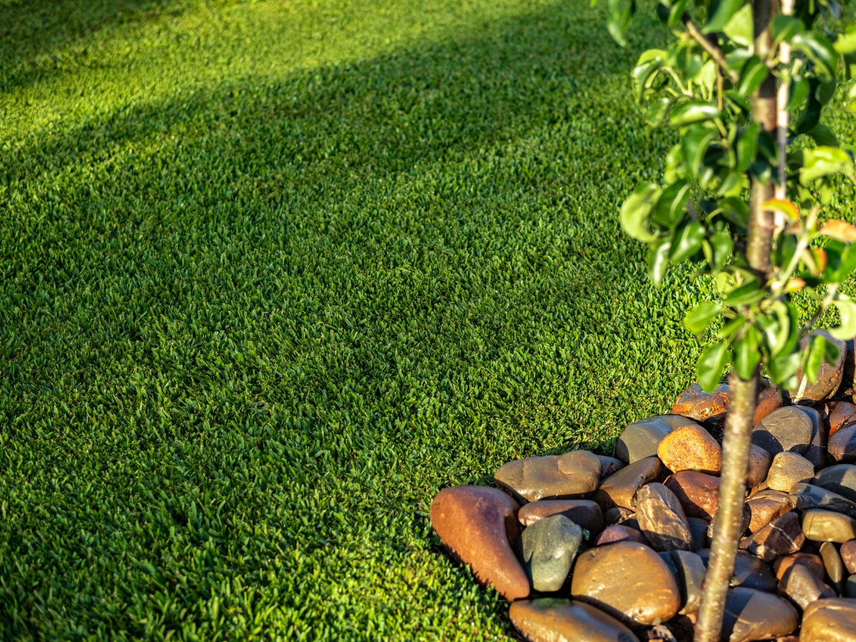 Stampede Hybrid Turf Stampede Hybrid Turf