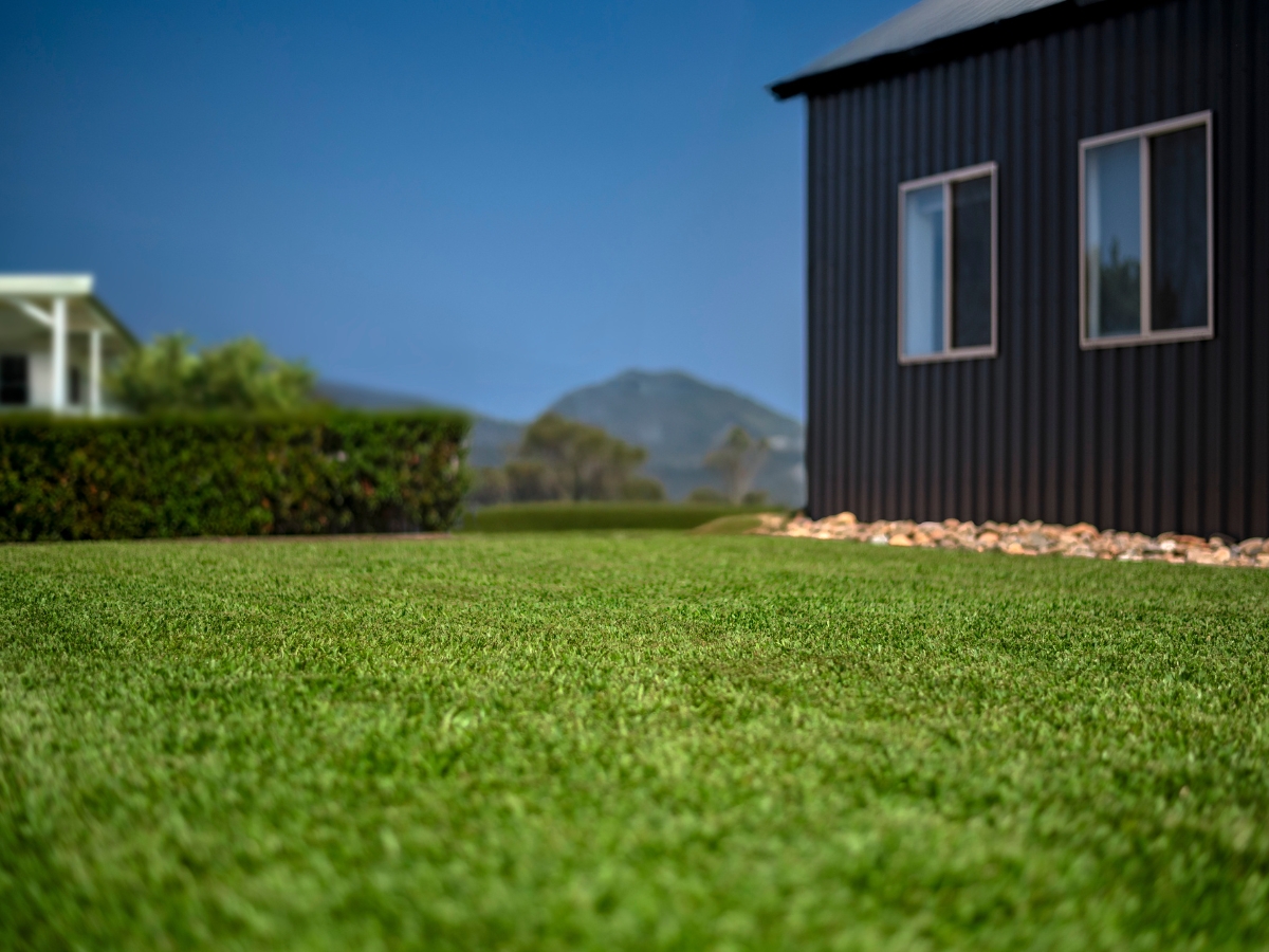 Stampede Hybrid Turf 2 Stampede Hybrid Turf 2