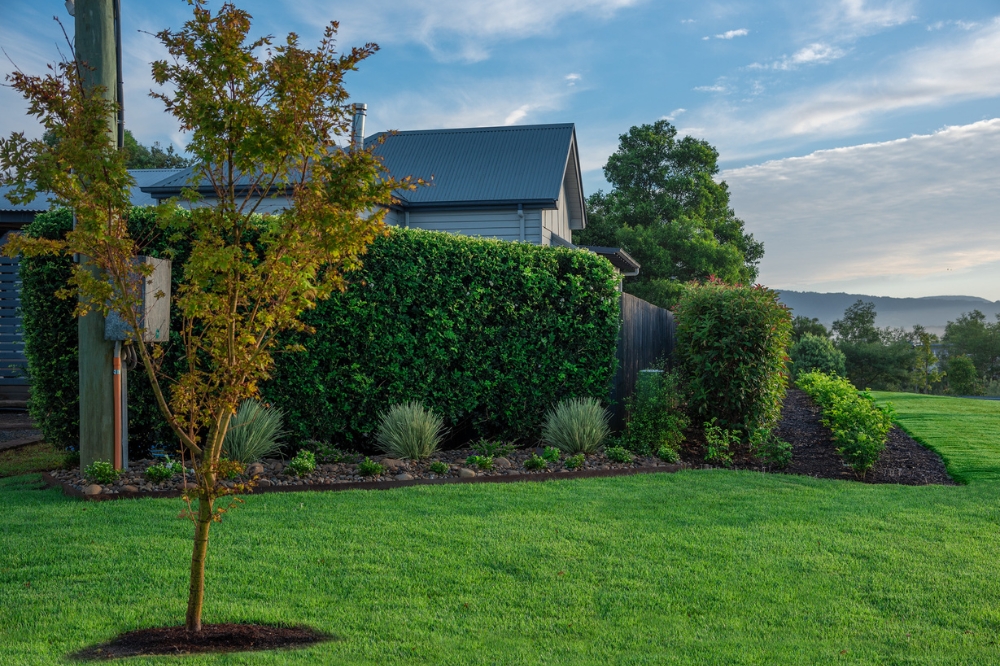 What is the Best Grass for a Lawn? A Complete Guide to Top Choices 9 Zoysia Australis is a versatile grass