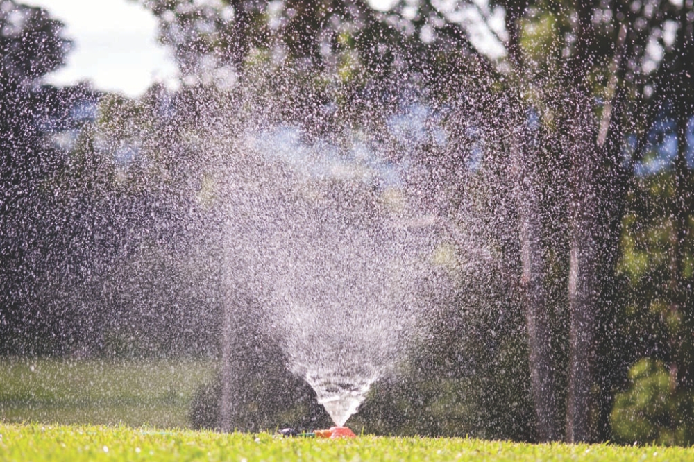 Home 16 New Turf Watering Schedule 2